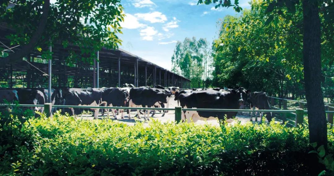 1668409985113113.jpg 640 (5).jpg